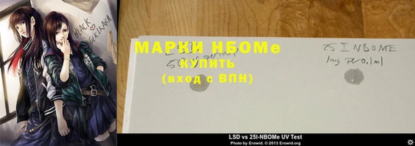 прущие грибы Абдулино