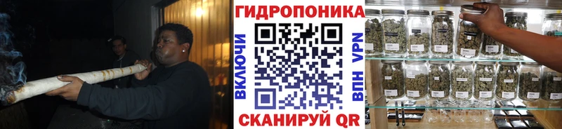 купить   Духовщина  Конопля план 